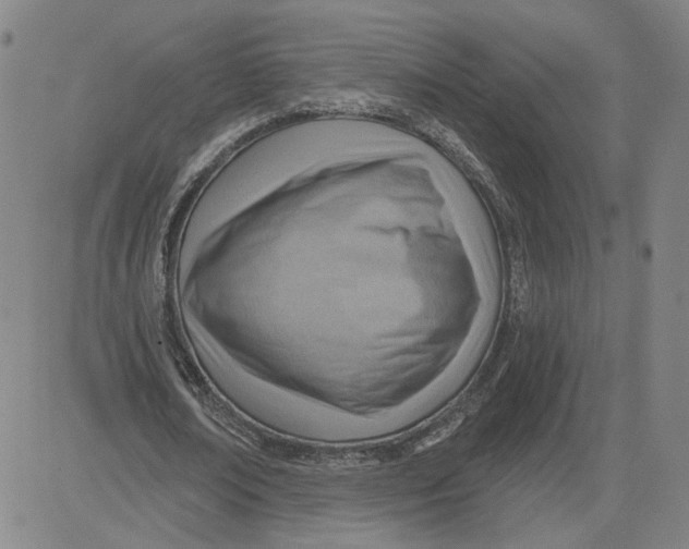 X0000080720674200701051035