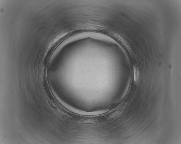 X0000080720675200701051035