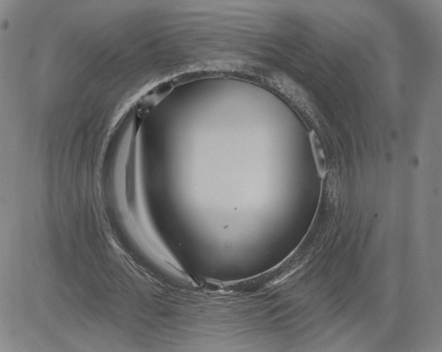 X0000080720676200701051035