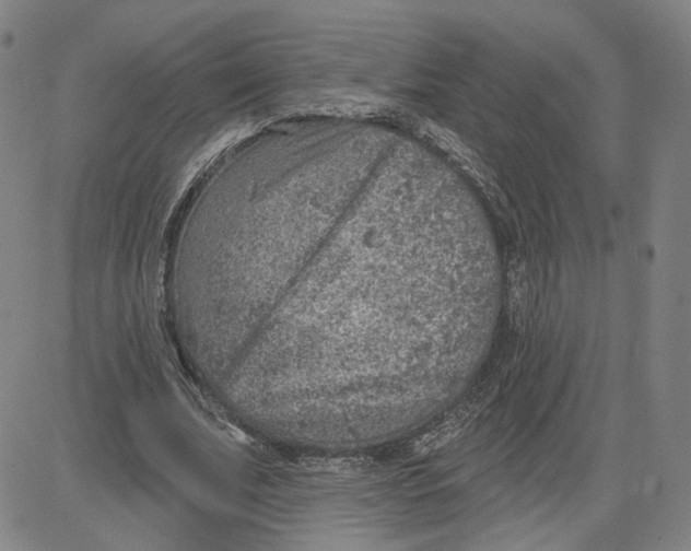 X0000080720679200701051035