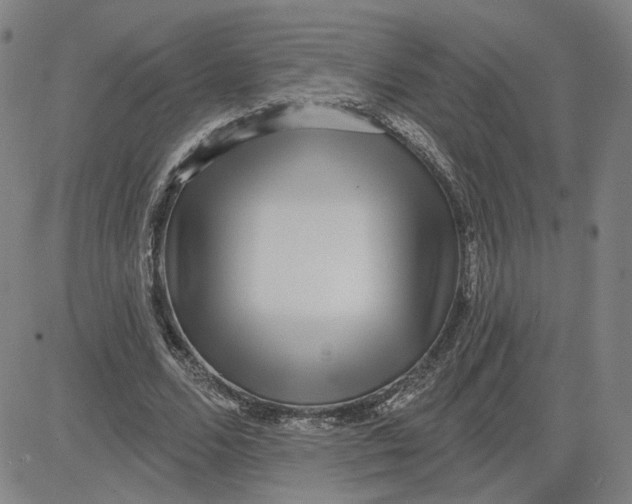 X0000080720680200701051035