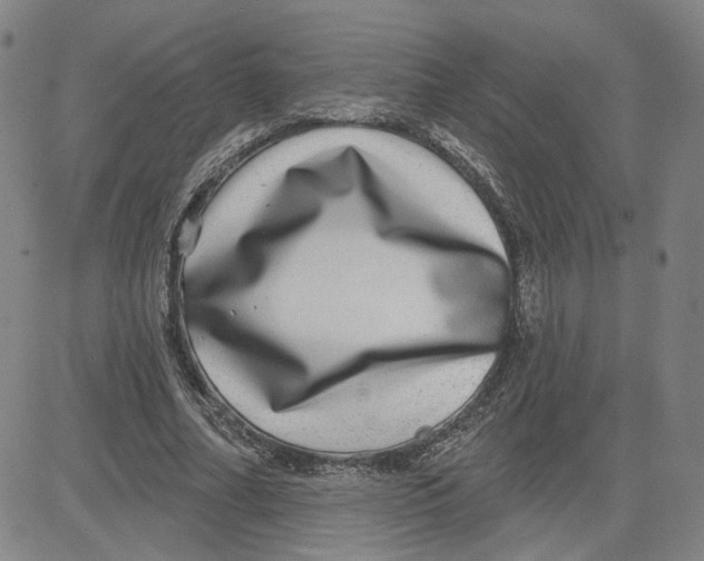 X0000080720682200701051035