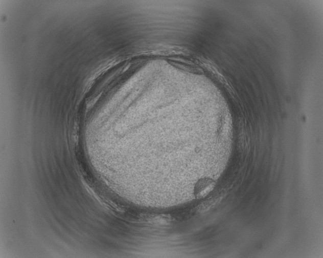 X0000080720683200701051035