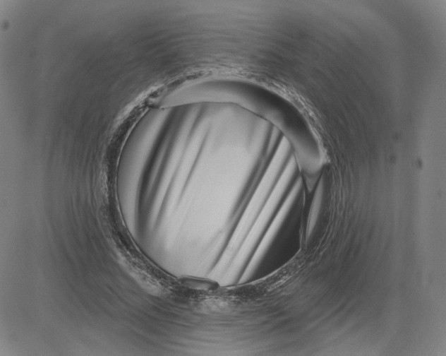 X0000080720684200701051035