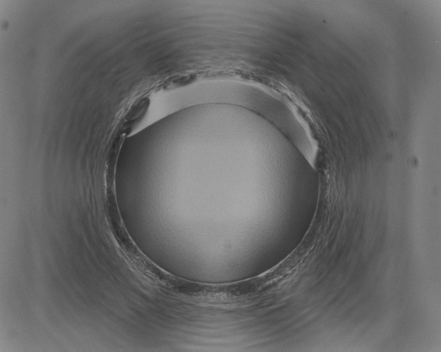 X0000080720685200701051035