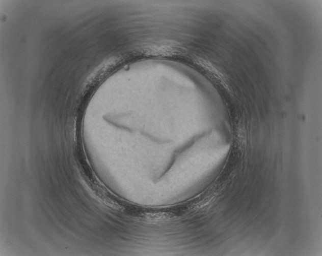 X0000080720686200701051035