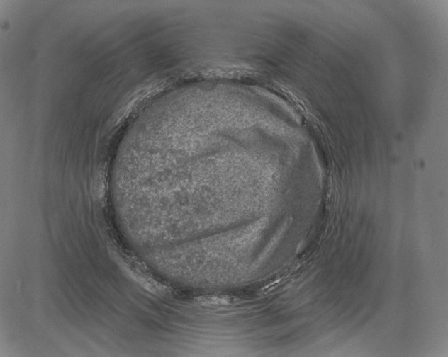 X0000080720687200701051035