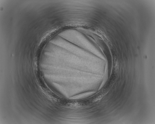 X0000080720688200701051035