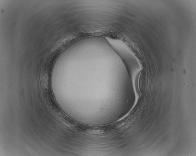 X0000080720689200701051035