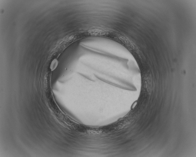 X0000080720690200701051035