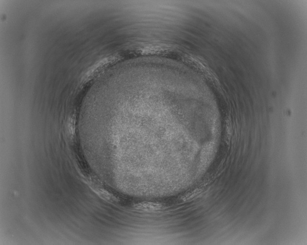 X0000080720691200701051034