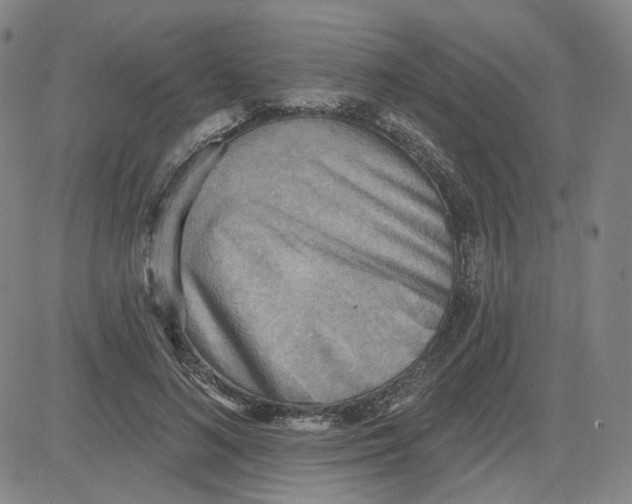 X0000080720692200701051034