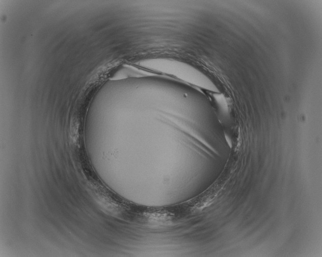 X0000080720693200701051034