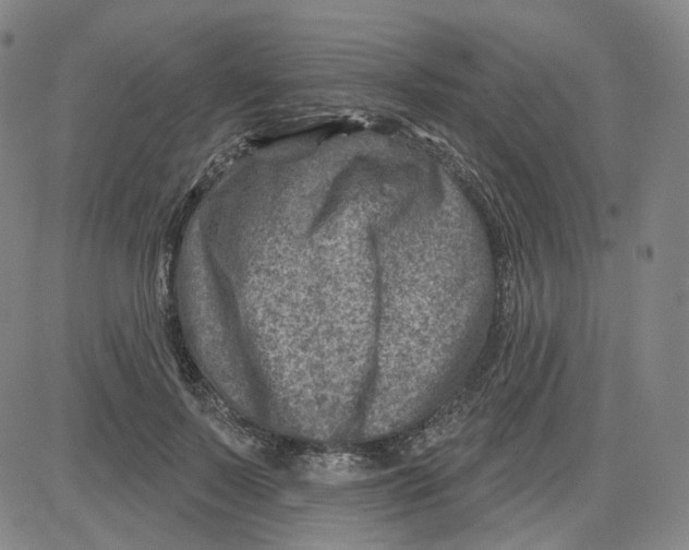 X0000080720695200701051034