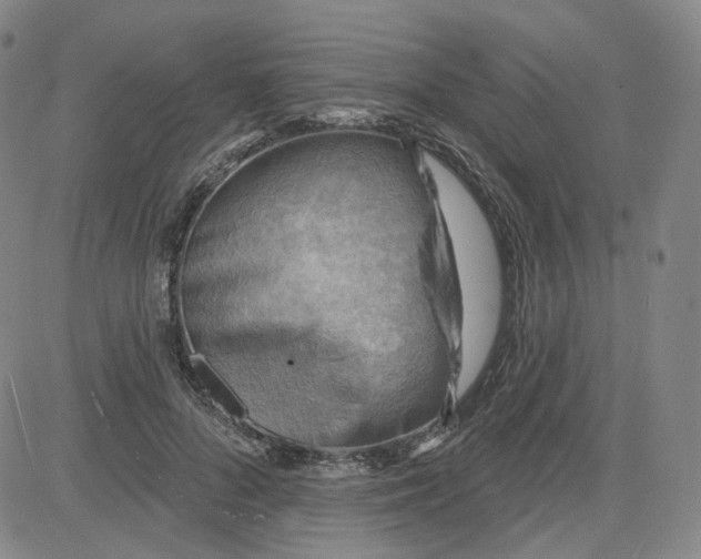 X0000080720696200701051034