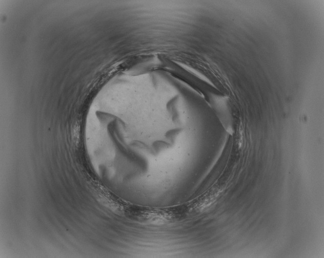 X0000080720697200701051034