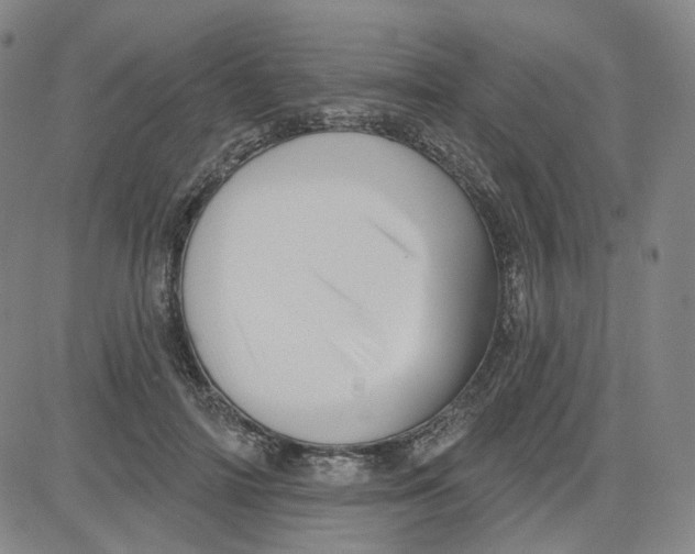 X0000080720698200701051034