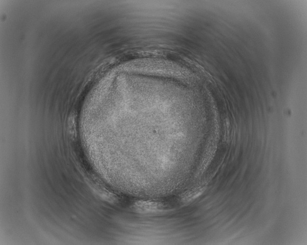 X0000080720699200701051034