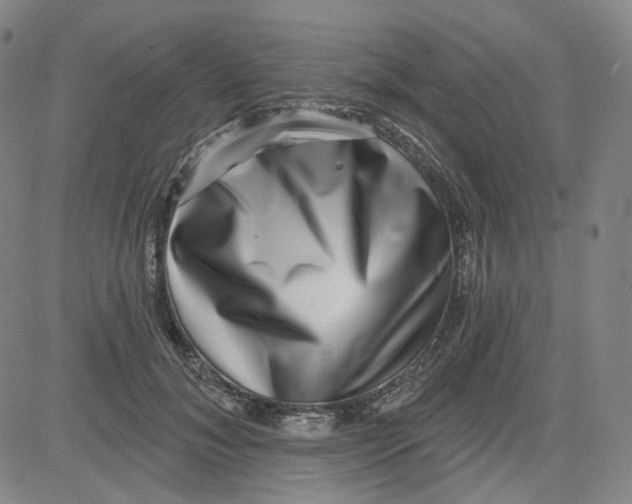 X0000080720700200701051034