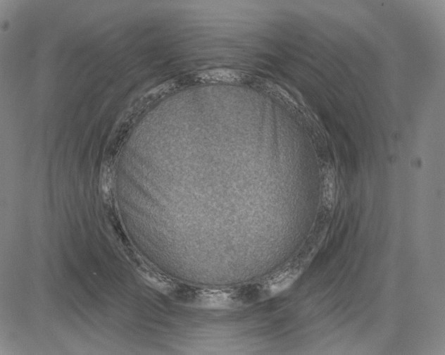 X0000080720701200701051034