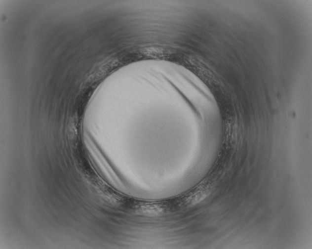 X0000080720702200701051034