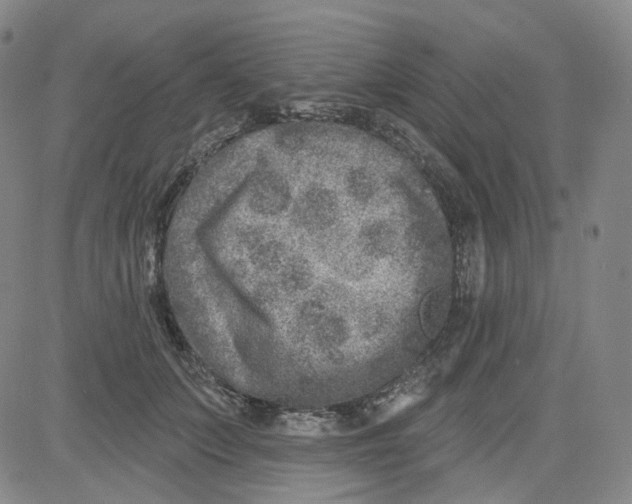 X0000080720703200701051034