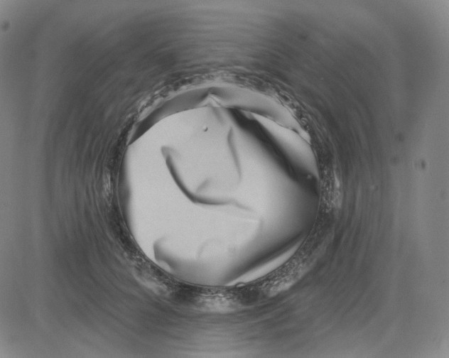 X0000080720704200701051034