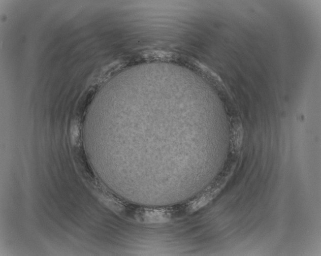 X0000080720709200701051034