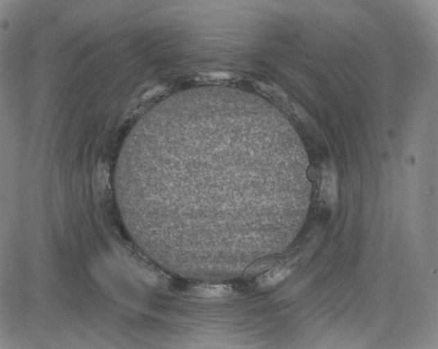 X0000080720711200701051034