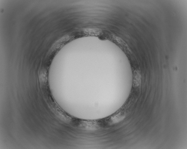 X0000080720713200701051034