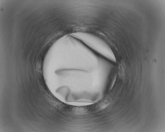 X0000080720714200701051034