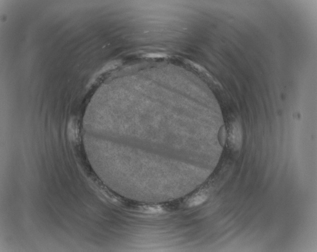 X0000080720715200701051034