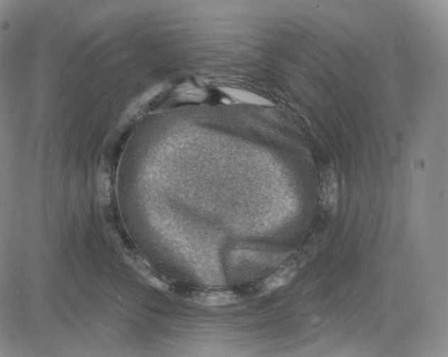 X0000080720716200701051034