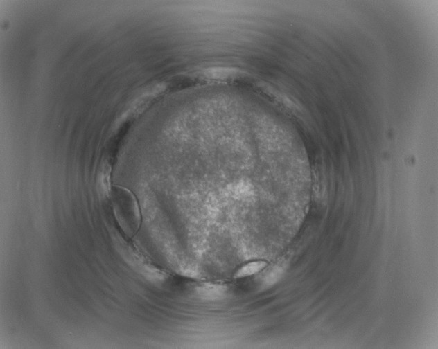 X0000080720718200701051034