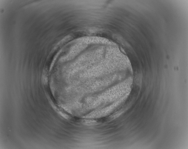 X0000080720719200701051034