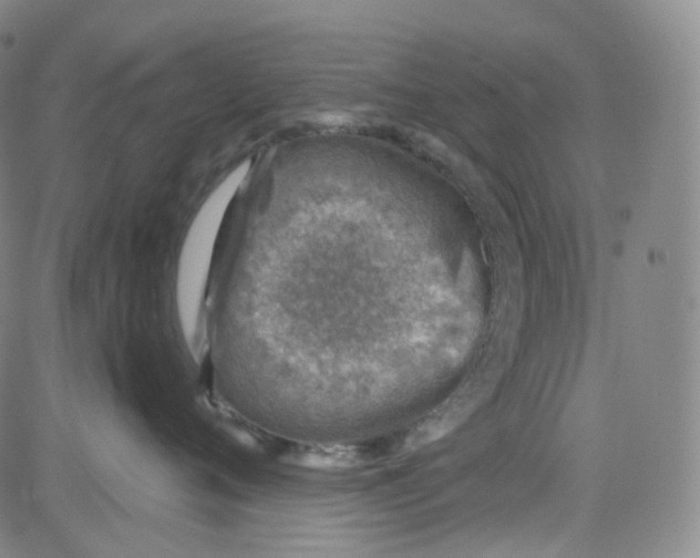 X0000080720720200701051034