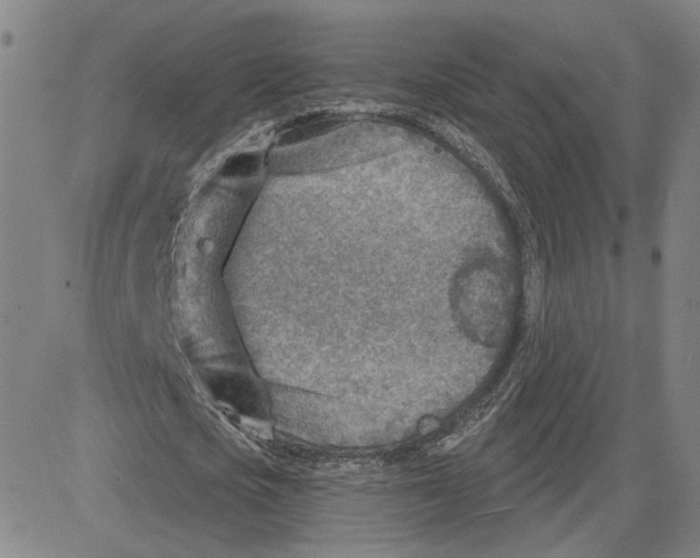 X0000080720721200701051033