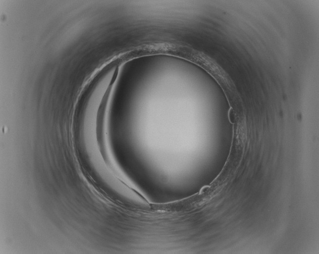 X0000080720722200701051033