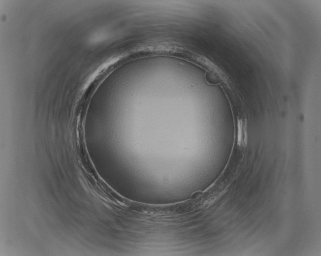 X0000080720723200701051033