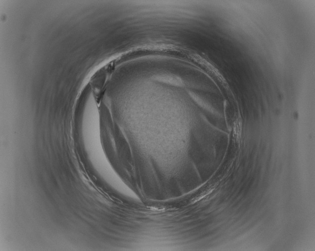 X0000080720724200701051033