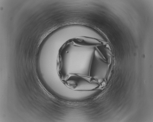 X0000080720725200701051033