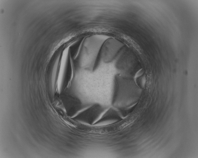 X0000080720727200701051033