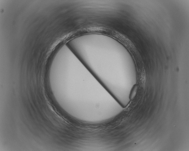 X0000080720732200701051033