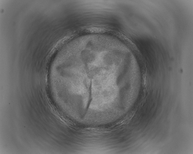 X0000080720733200701051033