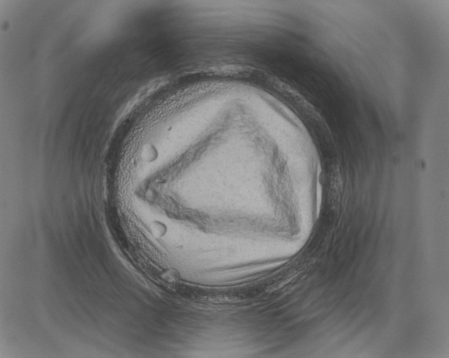 X0000080720734200701051033