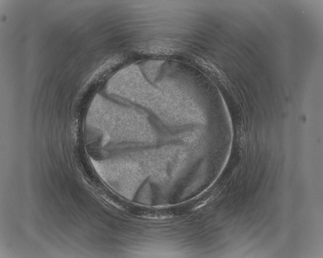 X0000080720735200701051033