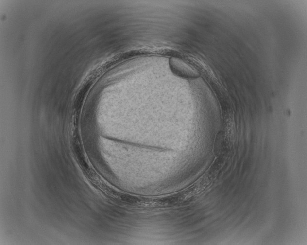 X0000080720736200701051033