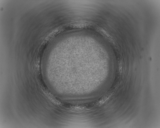 X0000080720737200701051034