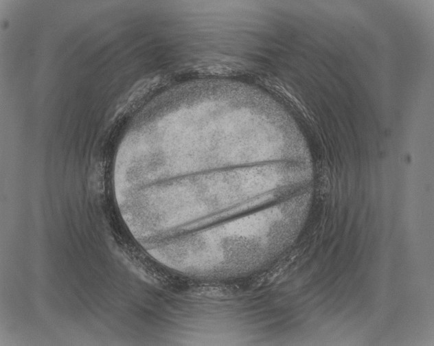 X0000080720738200701051034