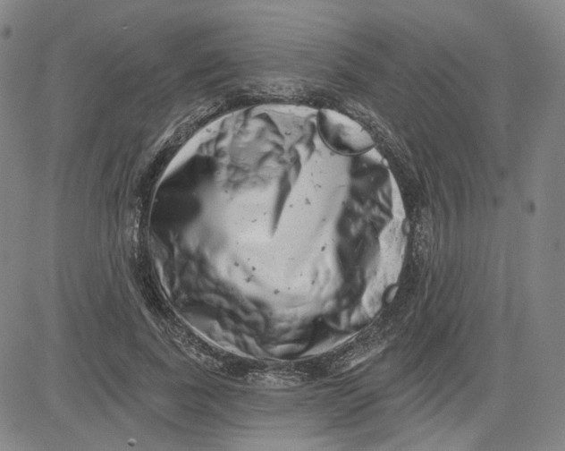 X0000080720739200701051034